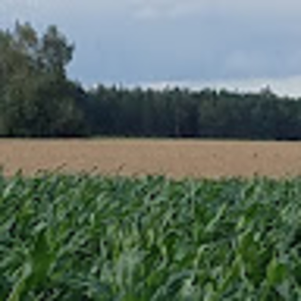 Meet your Posher, Monika